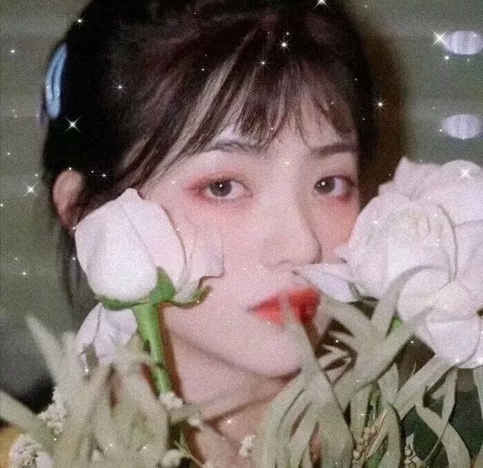 江湖龙女